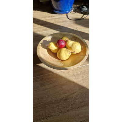 20251017_161006_943936272